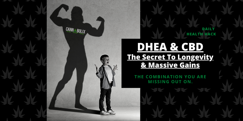 How DHEA & CBD Can Change Your Life!